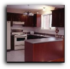 Kitchen Pic 21